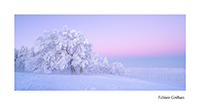 Les couleurs de l'hiver