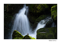 photo de paysage de la cascade du cincle plongeur