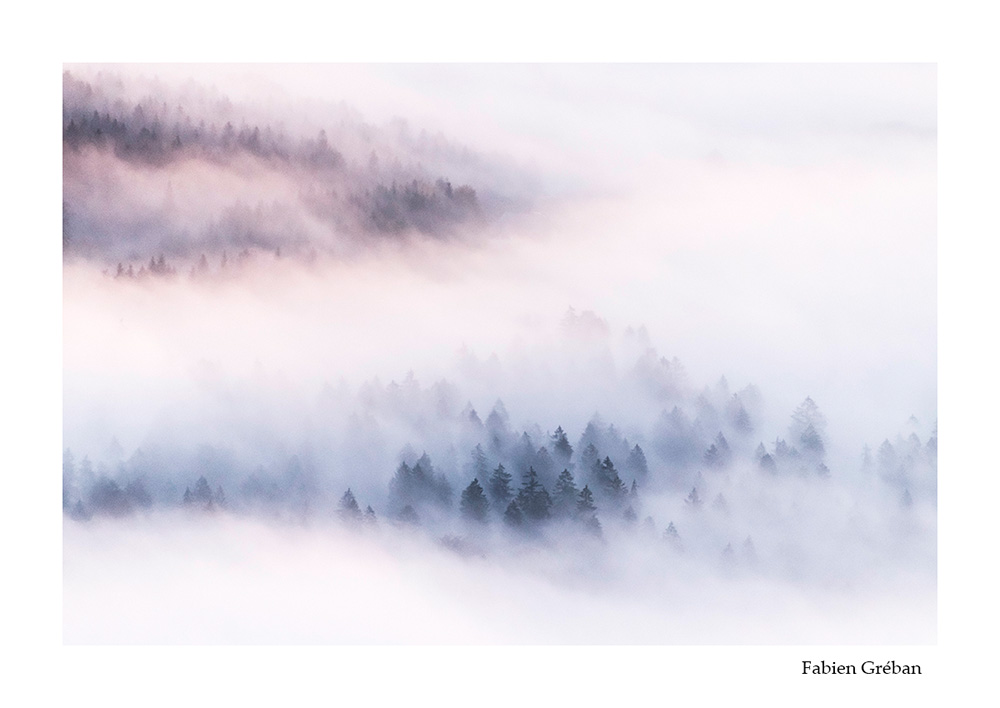 photographie de paysage de foret dans la brume dans le massif du jura