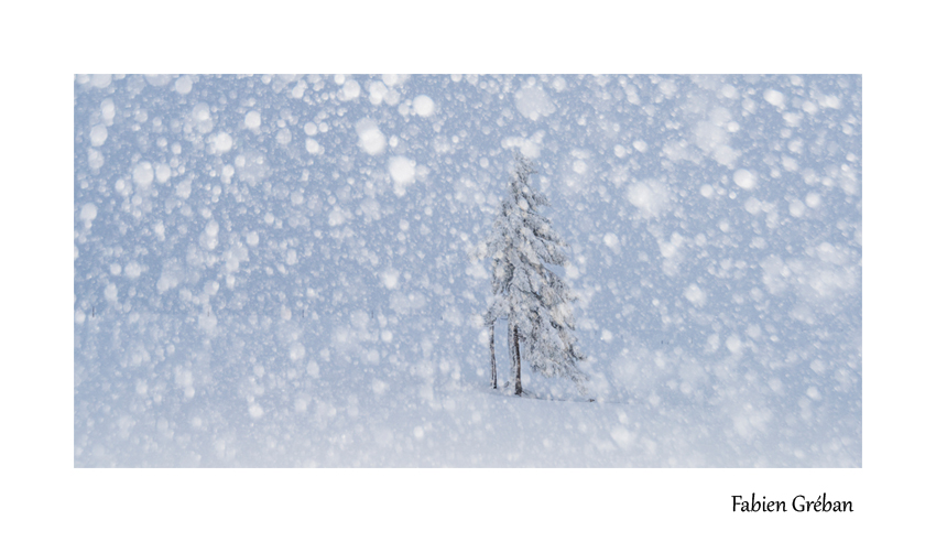 tempete de neige