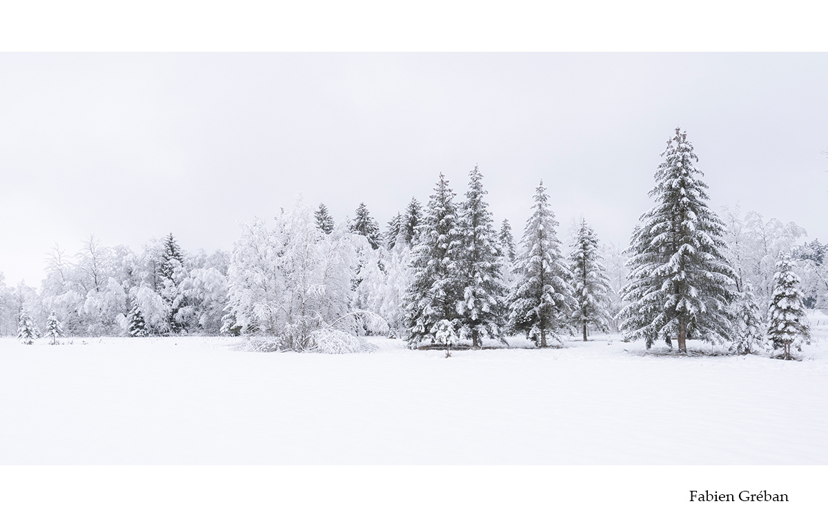 paysage hivernale dans le jura