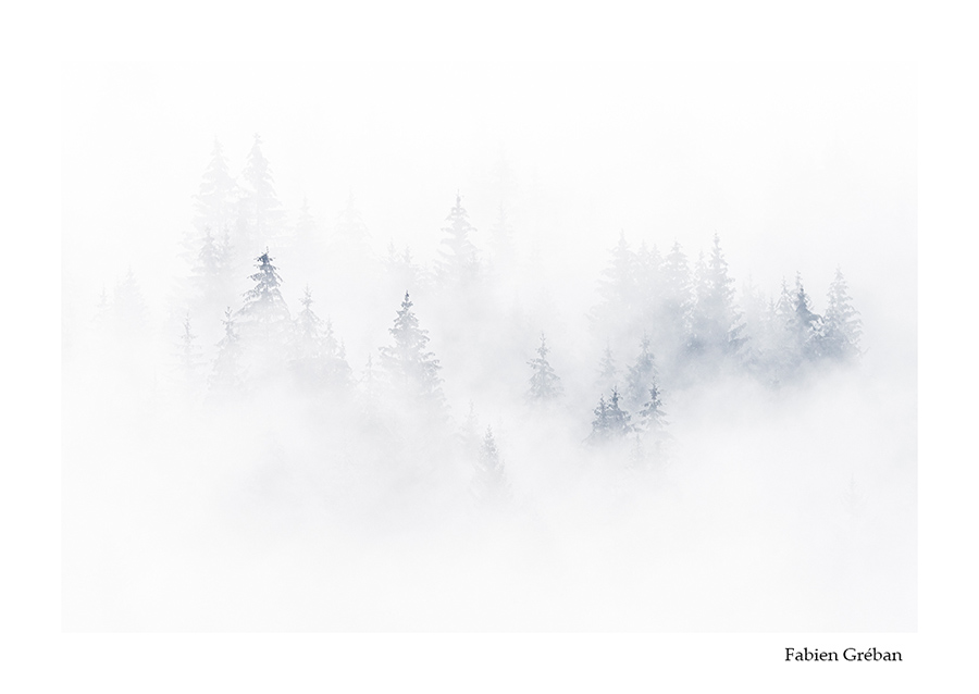 photo de paysage dans le brouillard