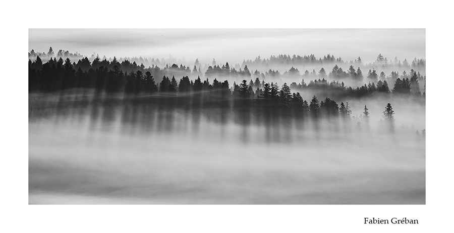 photo de paysage des forets du haut-Doubs dans la brume