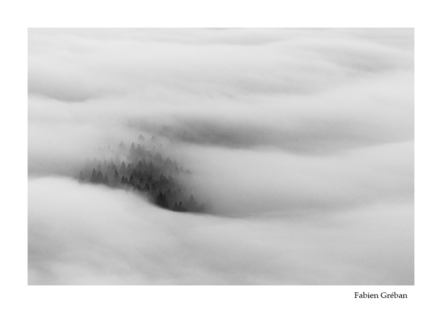 photo de paysage des forts du jura dans la brume 