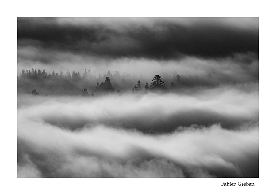 photo de paysage de fort dans la brume 