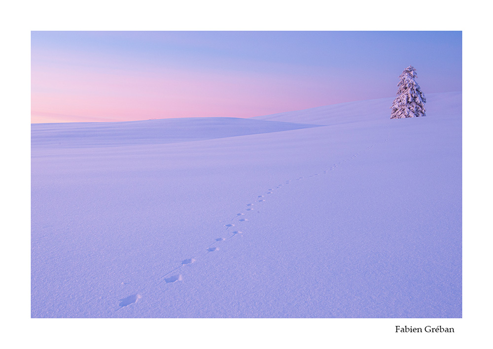 photographie de paysage hivernal sur les sommets du massif du Jura