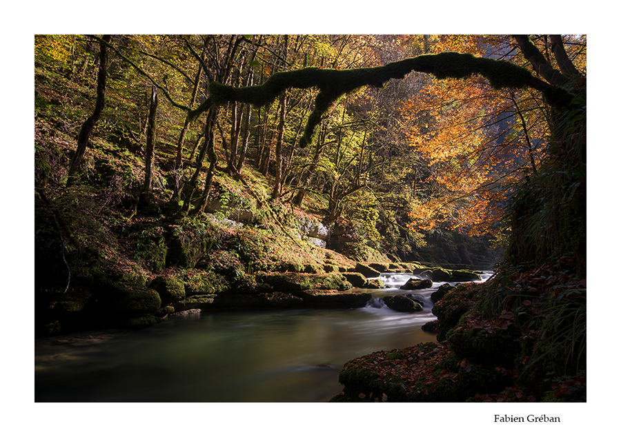 la Loue en automne