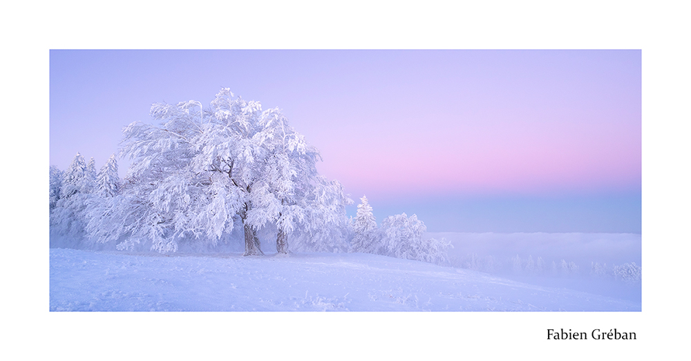 photographie de paysage sur les sommets du massif du Jura au dessus de la mer de nuage, les couleurs de l'hiver